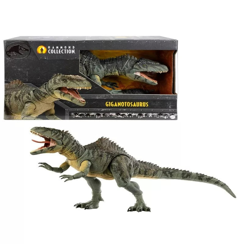 Mattel Jurassic World Hammond Collection Figura Giganotosaurus 73 cm (HXF57)