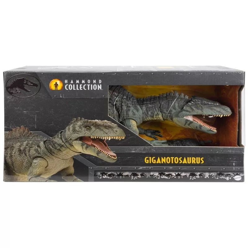 Mattel Jurassic World Hammond Collection Figura Giganotosaurus 73 cm (HXF57)