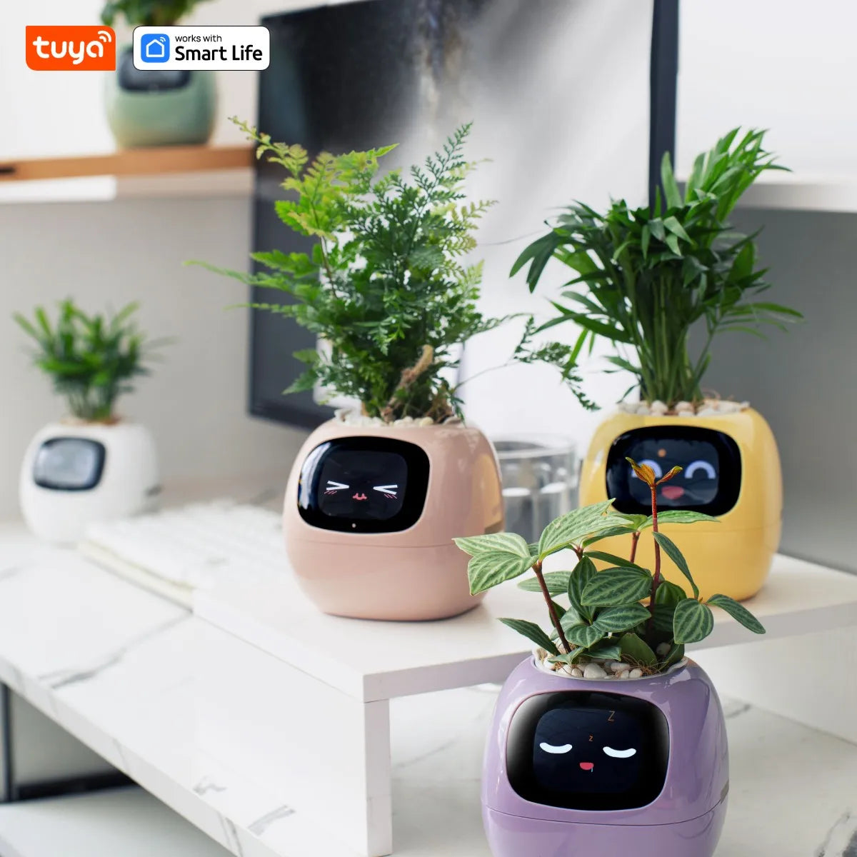 Tuya Smart Life Planter – AI-támogatott okos növénytartó – az egyszerű és szórakoztató növényápolás új szintje