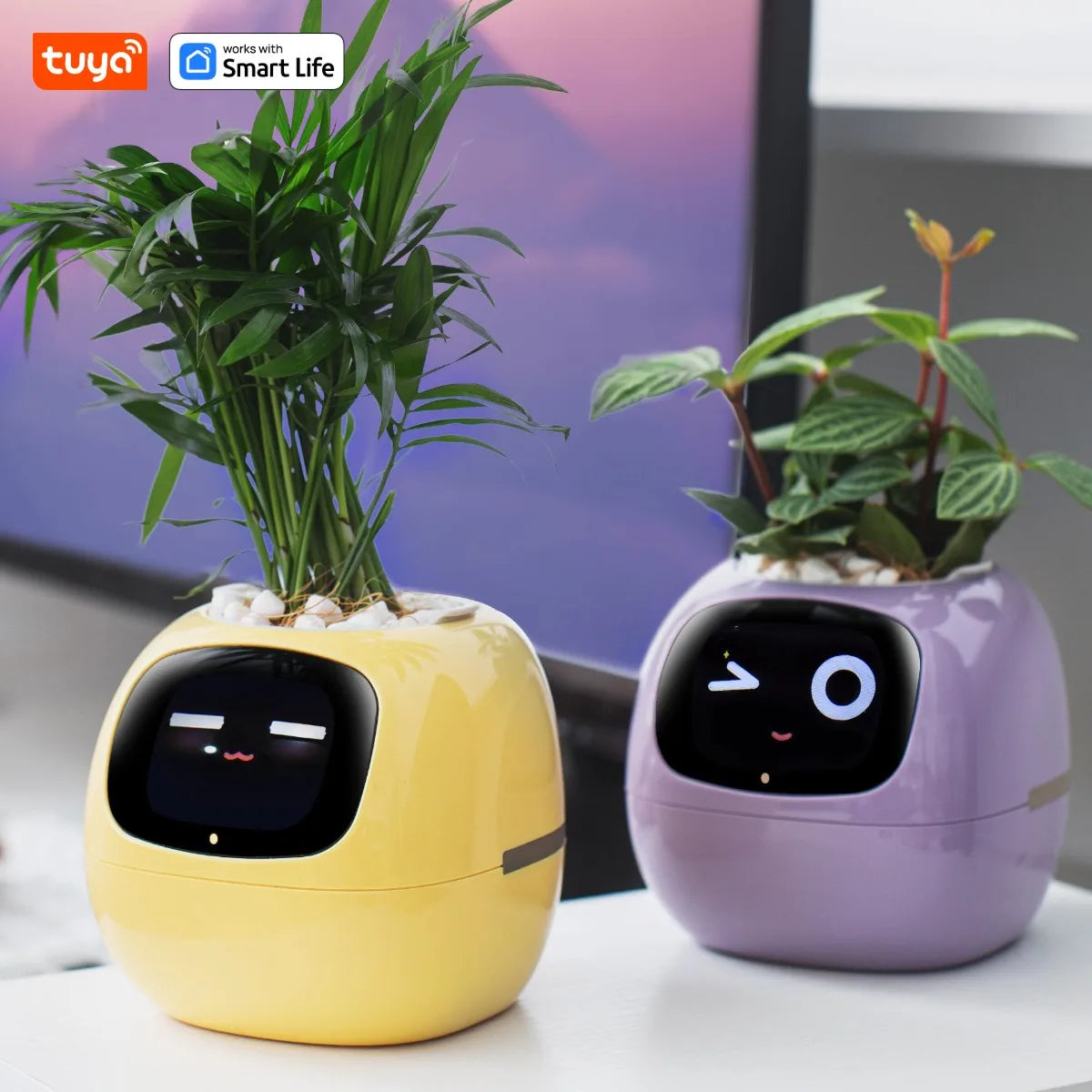 Tuya Smart Life Planter – AI-támogatott okos növénytartó – az egyszerű és szórakoztató növényápolás új szintje