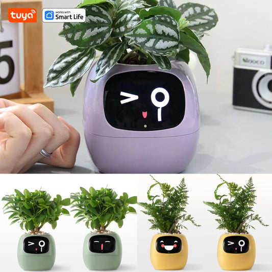 Tuya Smart Life Planter – AI-támogatott okos növénytartó – az egyszerű és szórakoztató növényápolás új szintje