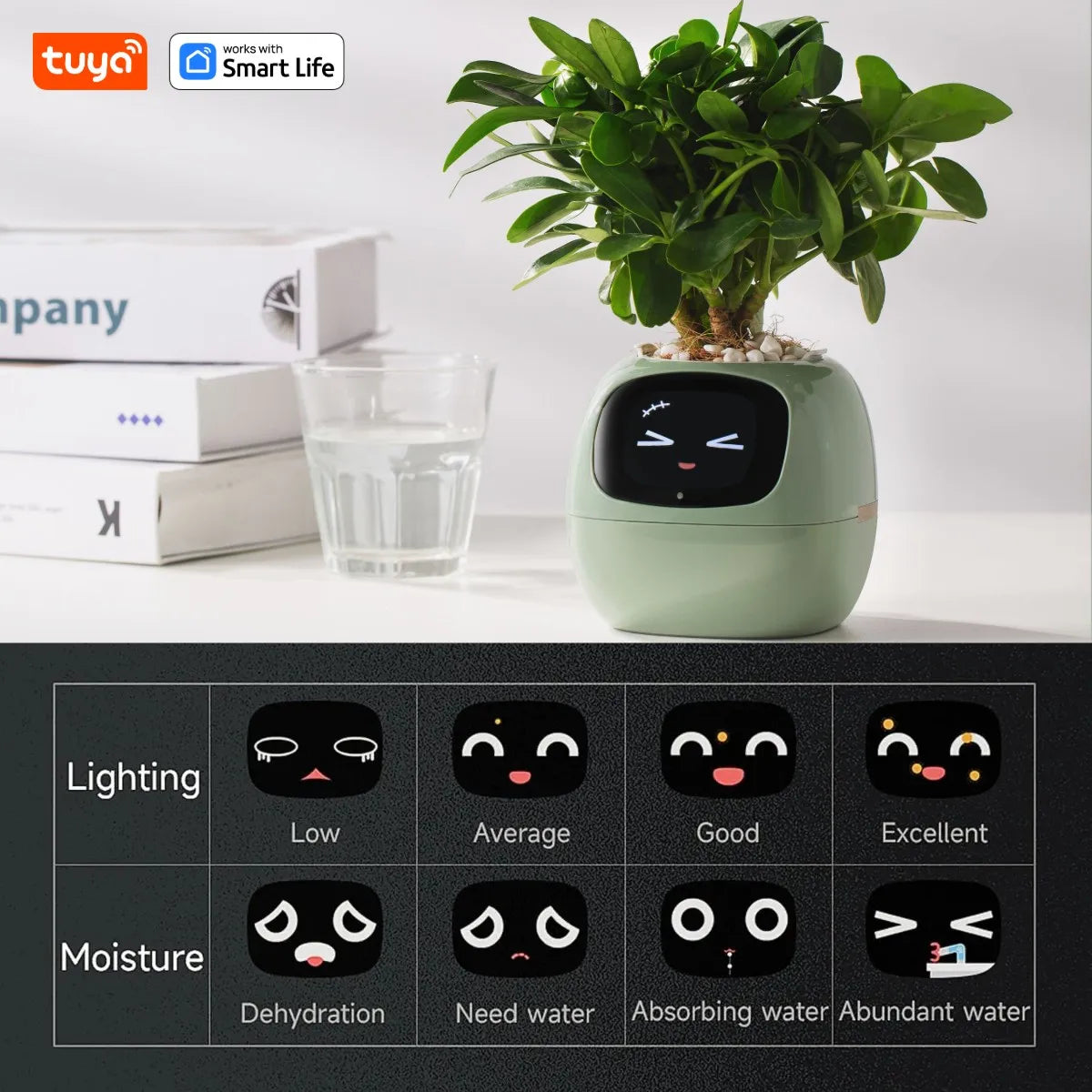 Tuya Smart Life Planter – AI-támogatott okos növénytartó – az egyszerű és szórakoztató növényápolás új szintje