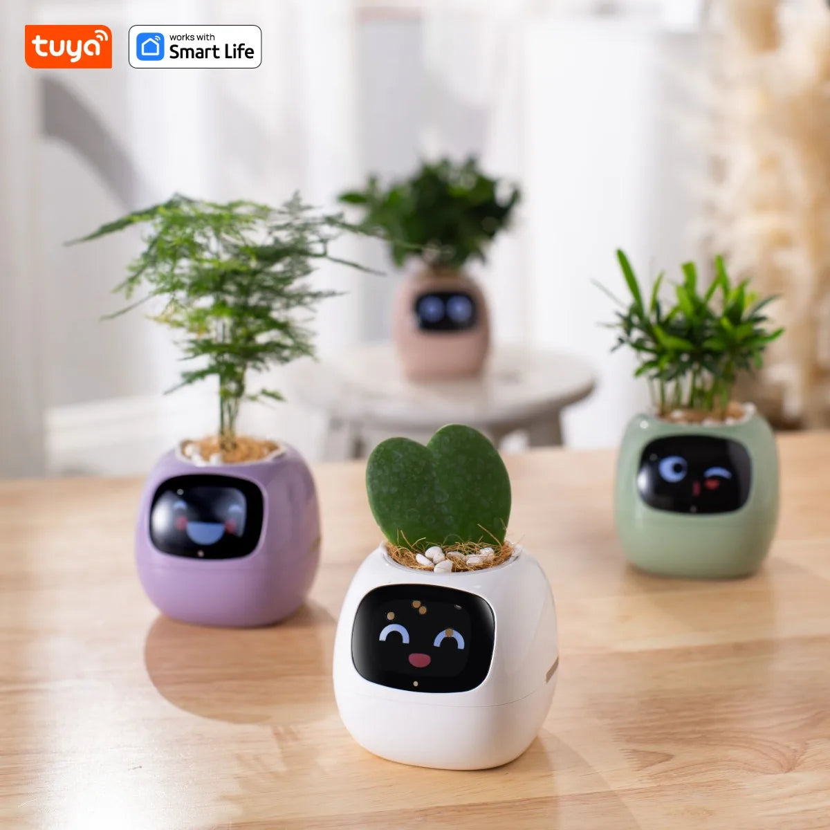 Tuya Smart Life Planter – AI-támogatott okos növénytartó – az egyszerű és szórakoztató növényápolás új szintje